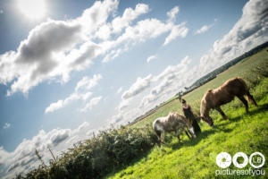 Clotilde et ses chevaux - Photos lifestyle par Laurent Bossaert - Pictures of You-31